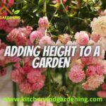 picture describing how to add height to a garden