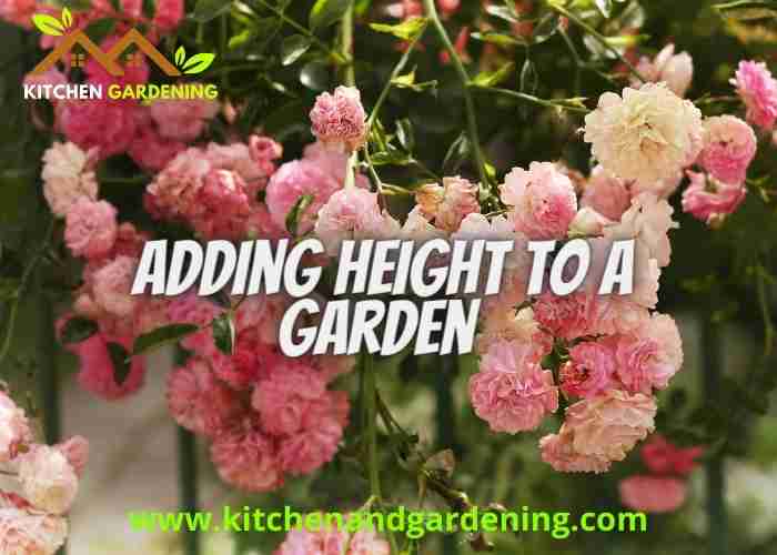 picture describing how to add height to a garden