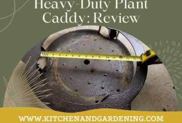 A picture showing review of heavy duty plant caddy