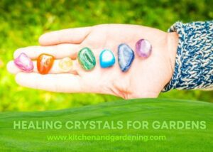 7 Best Healing Crystals To Boost Your Garden