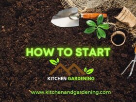 A pitcture that is describing how to start kitchen gardening in 2022 .