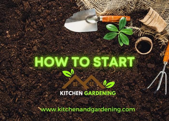 A pitcture that is describing how to start kitchen gardening in 2022 .