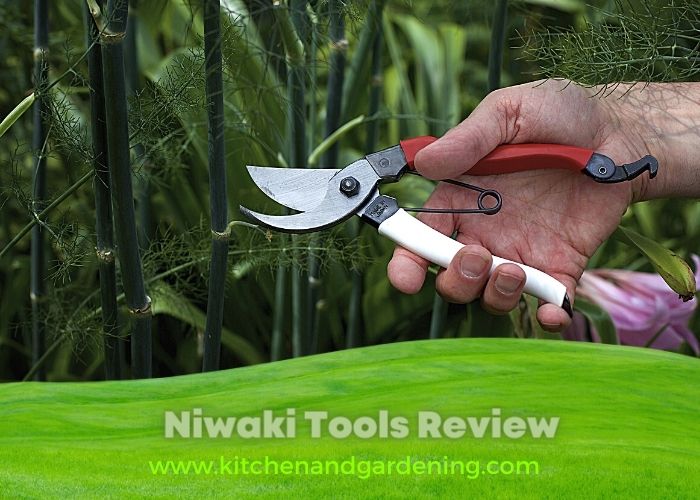 Niwaki Tools Review