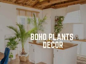 A picture showing boho plants decor