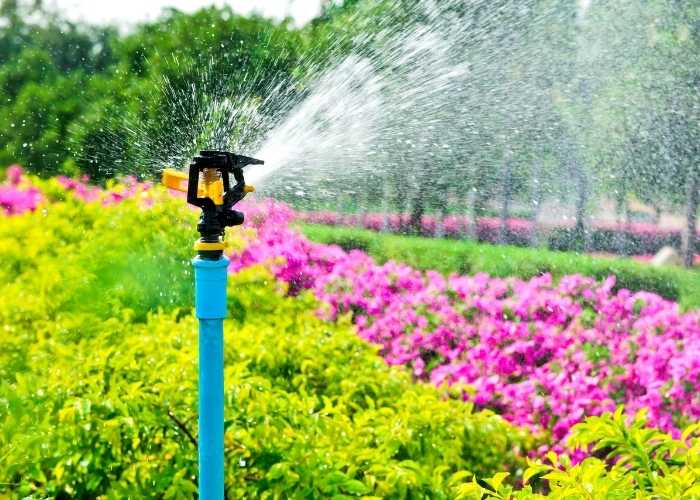 Water your Lawn in Hot weather