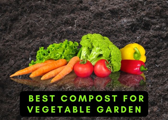 Best Compost for Vegetable Garden