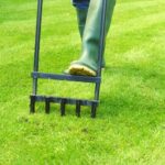 What to do after Aerating your lawn