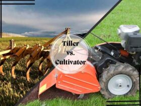 A picture showing the difference between cultivator vs tiller