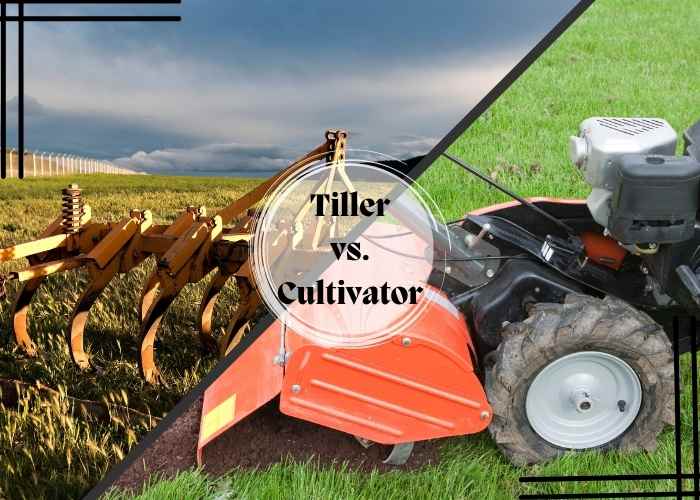 A picture showing the difference between cultivator vs tiller