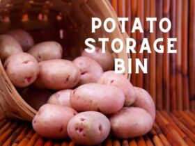 A picture showing potato storage bin