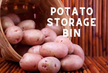 A picture showing potato storage bin
